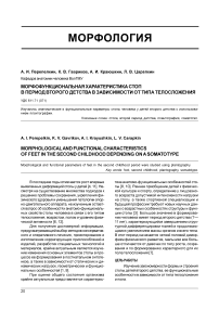 Морфофункциональная характеристика стоп в период второго детства в зависимости от типа телосложения