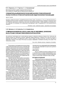 Сравнительный морфологический анализ спаек брюшной полости при острой и хронической эндогенной интоксикации