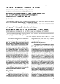 Морфометрический анализ стенки тощей кишки крыс при экспериментальном воспроизведении алиментарного дефицита магния