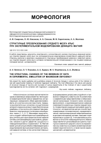 Структурные преобразования среднего мозга крыс при экспериментальном моделировании дефицита магния