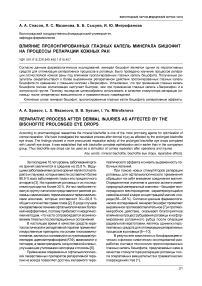 Влияние пролонгированных глазных капель минерала бишофит на процессы репарации кожных ран