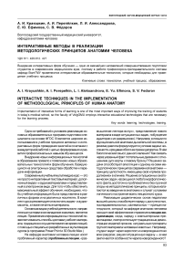 Интерактивные методы в реализации методологических принципов анатомии человека