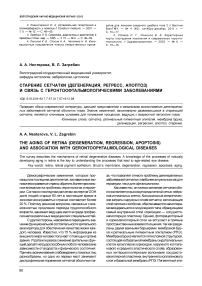 Старение сетчатки (дегенерация, регресс, апоптоз) и связь с геронтоофтальмологическими заболеваниями