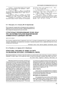 Структурные преобразования почек крыс при экспериментальном моделировании алиментарного дефицита магния