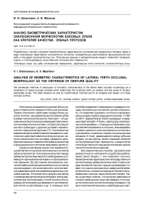 Анализ биометрических характеристик окклюзионной морфологии боковых зубов как критерий качества зубных протезов