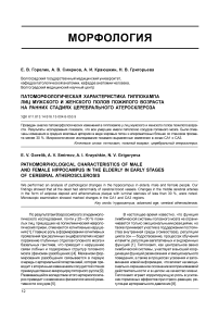Патоморфологическая характеристика гиппокампа лиц мужского и женского полов пожилого возраста на ранних стадиях церебрального атеросклероза
