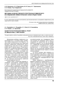 Методика количественного рентгеноанатомического исследования лимфатических узлов средостения