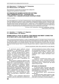 Исследование биомеханической системы «мостовидный протез - опорный зуб» у пациентов с низкой коронкой опорных зубов