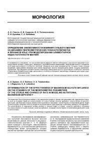 Определение эффективности влияния сульфата магния на динамику морфометрических показателей матки и яичников крыс при моделировании алиментарной недостаточности магния