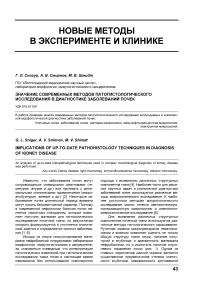 Значение современных методов патогистологического исследования в диагностике заболеваний почек