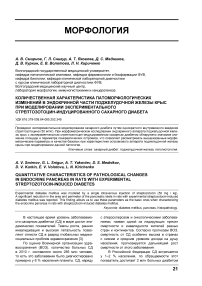 Количественная характеристика патоморфологических изменений в эндокринной части поджелудочной железы крыс при моделировании экспериментального стрептозотоцин-индуцированного сахарного диабета