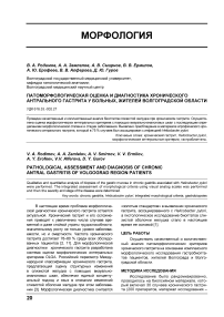 Патоморфологическая оценка и диагностика хронического антрального гастрита у больных, жителей Волгоградской области