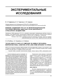 Влияние соединения РГПУ-147 на морфофункциональное состояние миокарда животных после длительного стрессорного воздействия