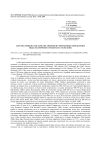 Царство грибов в системе организмов и современное определение вида Macrophomina phaseolina (Tassi) Goid