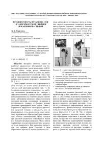 Вредоносность фузариоза сои в зависимости от степени поражения растений