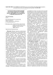 Элементы интегрированной системы защиты растений подсолнечника от болезней в Тамбовской области