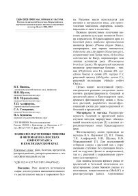 Наиболее патогенные микозы и фитофаги на посевах озимого рапса в Краснодарском крае