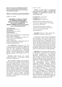 Влияние сульфата меди на морфологические показатели и активность каталаз сои после инокуляции Bradyrhizobium japonicum и Sinorhizobium fredii