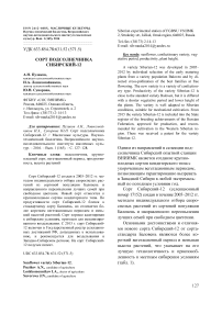 Сорт подсолнечника Сибирский-12