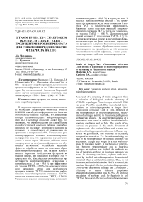 Штамм гриба Хк-1 Chaetomium olivaceum Cook et Ellis - продуцент микробиопрепарата для снижения вредоносности фузариоза на сое