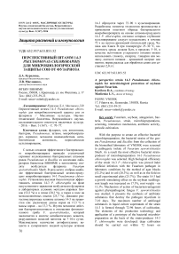 Перспективный штамм 14-3 Pseudomonas chlororaphis для микробиологической защиты сои от фузариоза