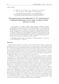 Функциональная идентификация Cl-/ H+- антипортера в мембранной фракции клеток корня галофита Suaeda altissima (L.) Pall