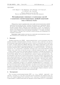 Интерференция спиновых и туннельных щелей в квантовом магнитотранспорте двойной квантовой ямы N-NGaAs/ GaAs