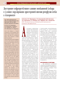 Двустороннее нефропротективное влияние новокаиновой блокады в условиях моделирования односторонней ишемии-реперфузии почки в эксперименте