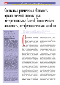 Спонтанная ритмическая активность органов мочевой системы: роль интерстициальных клеток, биологическая значимость, патофизиологические аспекты