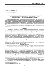 Синаптическая пластичность как основа патологической реорганизации межнейронных отношений в коре большого мозга (экспериментальное исследование)