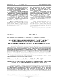 Характеристика персистентных свойств культур микроорганизмов Staphylococcus aureus, выделенных у собак и кошек при наружном отите