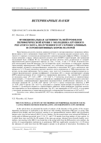 Функциональная активность нейтрофилов периферической крови у молодняка крупного рогатого скота, полученного от серонегативных и серопозитивных коров-матерей