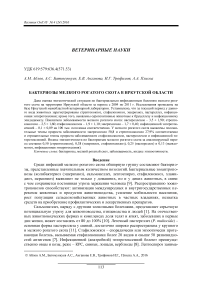 Бактериозы мелкого рогатого скота в Иркутской области