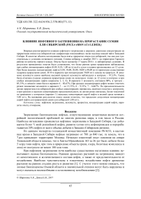 Влияние нефтяного загрязнения на прорастание семян ели сибирской (Picea obovata Ledeb.)