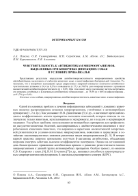 Чувствительность к антибиотикам микроорганизмов, выделенных при кишечных инфекциях собак в условиях Прибайкалья