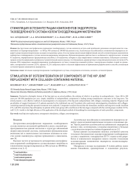 Стимуляция остеоинтеграции компонентов эндопротеза тазобедренного сустава коллагенсодержащим материалом