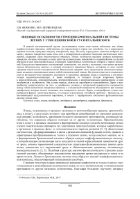 Видовые особенности строения бронхиальной системы легких у утки пекинской и гуся итальянского