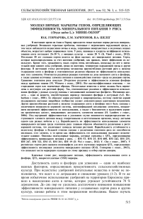 Молекулярные маркеры генов, определяющих эффективность минерального питания у риса (Oryza sativa L.): мини-обзор