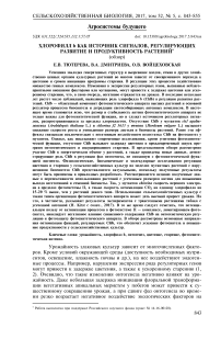 Хлорофилл B как источник сигналов, регулирующих развитие и продуктивность растений