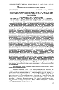 Молекулярно-биологические свойства патогенных вирусов болезни Ньюкасла, выделенных на территории Казахстана