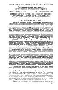 Дифференциация сортов озимой мягкой пшеницы (Triticum aestivum L.) по устойчивости к наиболее вредоносным возбудителям грибных болезней