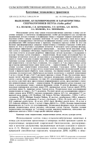 Выделение, культивирование и характеристика сперматогониев петуха (Gallus gallus)