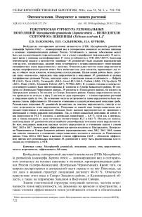 Генетическая структура региональных популяций Mycosphaerella graminicola (Septoria tritici) - возбудителя септориоза пшеницы (Triticum aestivum L.)