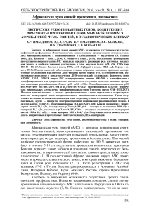 Экспрессия рекомбинантных генов, кодирующих фрагменты протективно значимых белков вируса африканской чумы свиней, в эукариотических клетках