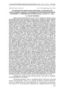 Особенности биологии цветения, разнообразие сексуальных типов и семенная воспроизводительная функция у солянки восточной Salsola orientalis S.G. Gmel