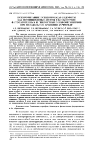 Психрофильные псевдомонады-эндофиты как потенциальные агенты в биоконтроле фитопатогенных и гнилостных микроорганизмов при холодильном хранении картофеля