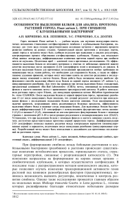 Особенности выделения белков для анализа протеома растений гороха Pisum sativum L. при симбиозе с клубеньковыми бактериями