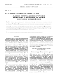 Лазерное поляризационно-оптическое наблюдение агломерации магнитных наночастиц в жидкой среде