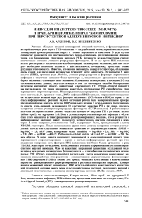 Индукция PTI (pattern-triggered immunity) и транскрипционное репрограммирование при персистентной аллексивирусной инфекции