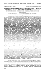 Физиолого-биохимические ответы растений сахарной свеклы (Beta vulgaris L.), зараженных грибом Alternaria alternata, на применение микробных препаратов на основе Bacillus subtilis